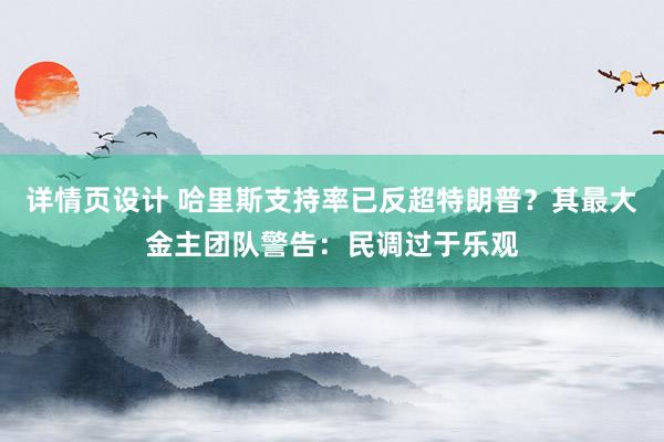 详情页设计 哈里斯支持率已反超特朗普？其最大金主团队警告：民调过于乐观